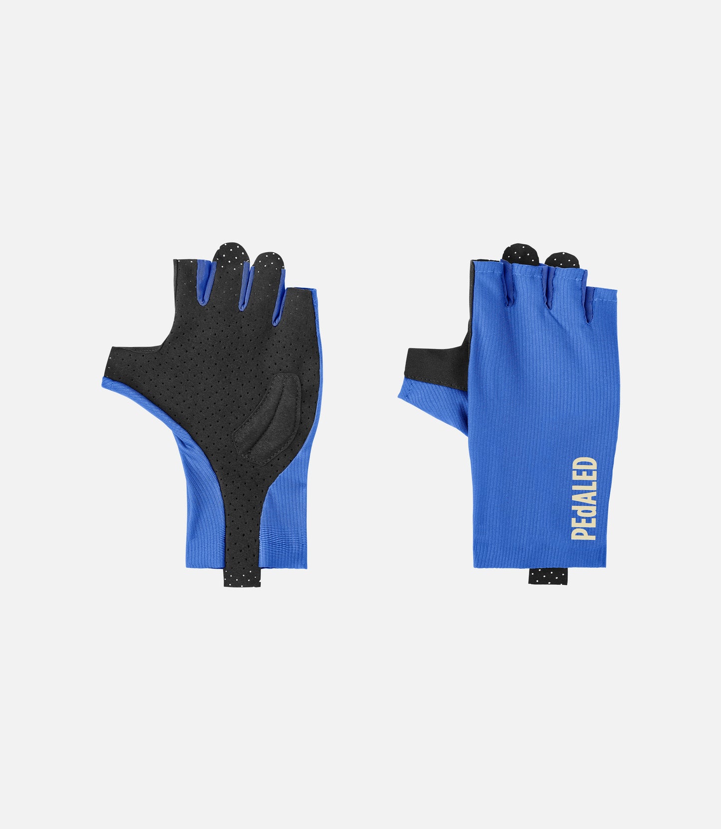 Element Gloves