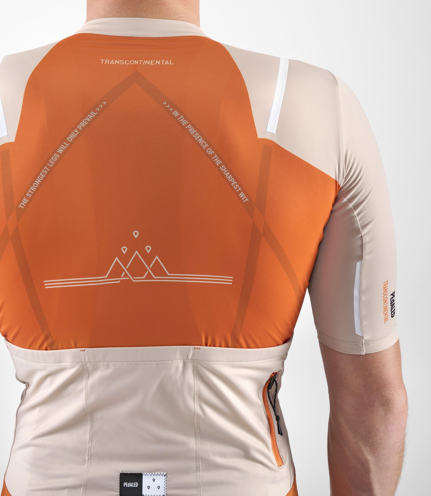 23SJSTC12PE_9_men cycling jersey transcontinental orange back reflective details pedaled